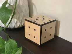 Antares 11 Steps Wooden Puzzle Box IQ Logic 3D Puzzle
