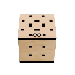 Antares 11 Steps Wooden Puzzle Box IQ Logic 3D Puzzle