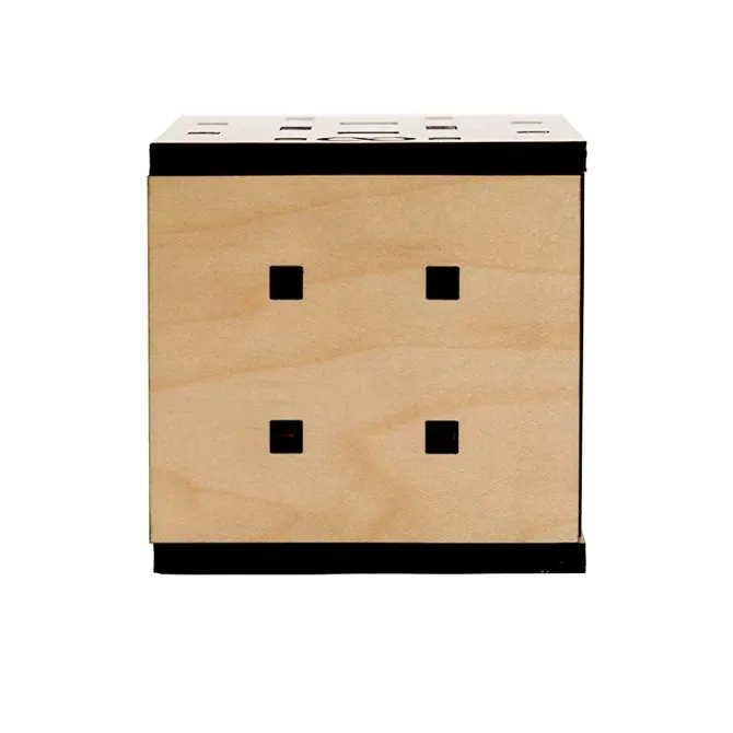 Antares 11 Steps Wooden Puzzle Box IQ Logic 3D Puzzle