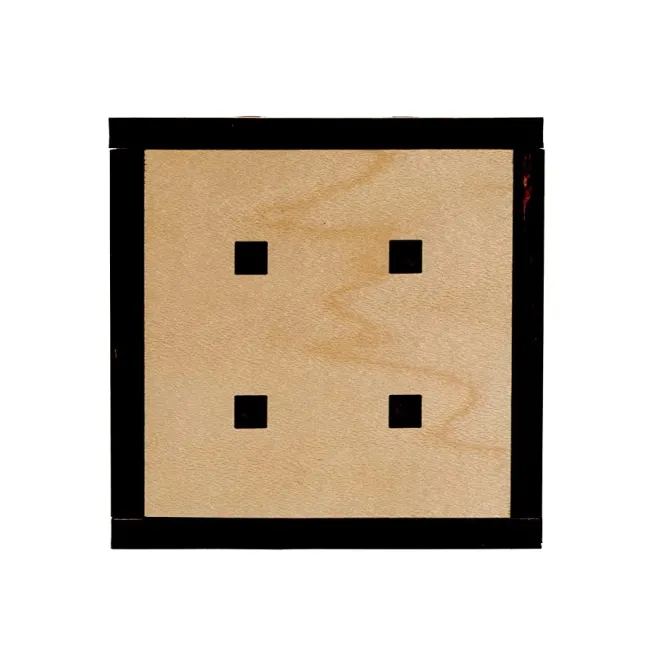 Antares 11 Steps Wooden Puzzle Box IQ Logic 3D Puzzle