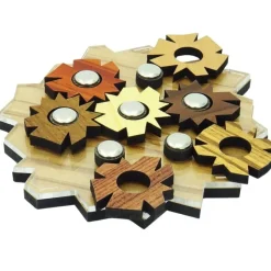 Flowers Puzzle By Spiele IQ Packing Problem Puzzle
