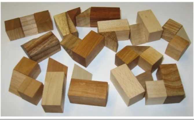 HCP2nt - Wooden Puzzle Brain Teaser