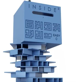 Inside? Labyrinth 3D Puzzle Maze Cube - Easy