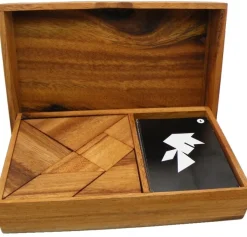 Logic Tangram Set with Play Cards Wooden Puzzle Game