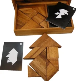 Logic Tangram Set with Play Cards Wooden Puzzle Game