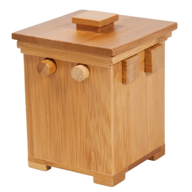 Pandora's Box Brain Teaser Wooden Puzzle