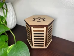 Silvaneo Wooden Puzzle Box IQ Logic 3D Puzzle