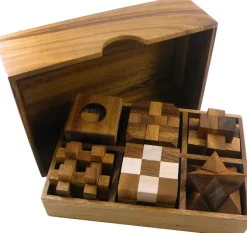 6 Wooden Puzzles Gift Set