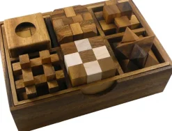 6 Wooden Puzzles Gift Set