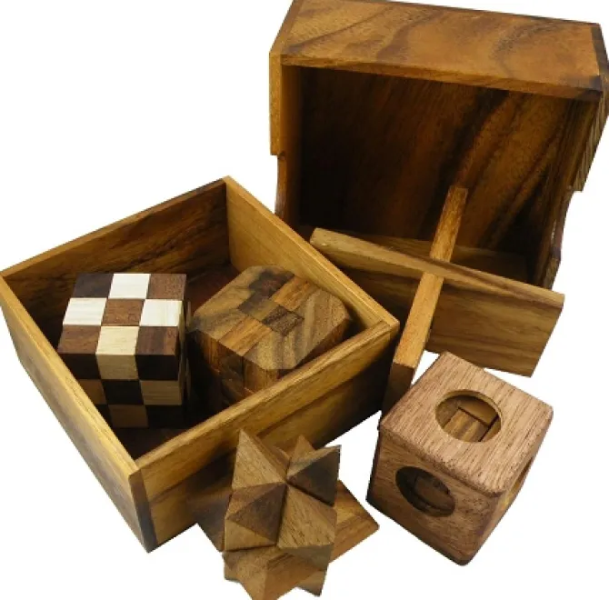 5 Wooden Puzzles Gift Set In A Wooden Box