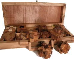 12 Wooden Puzzles Set In Wooden Suitcase